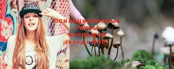 спиды Майский