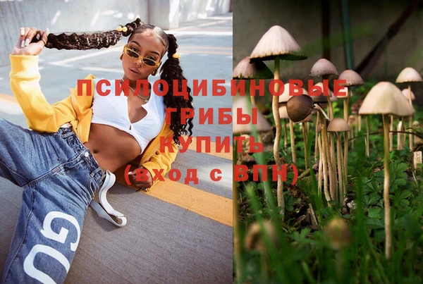 мдпв Магадан
