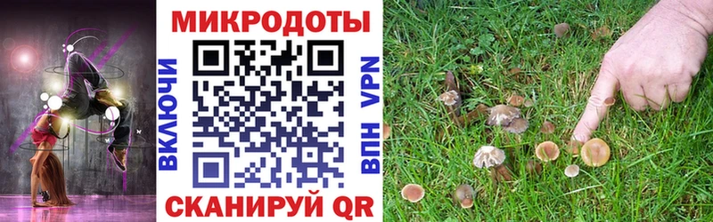 Псилоцибиновые грибы MAGIC MUSHROOMS  Купить  Зея 